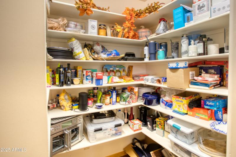 Paxmanphoto_PAX_9668