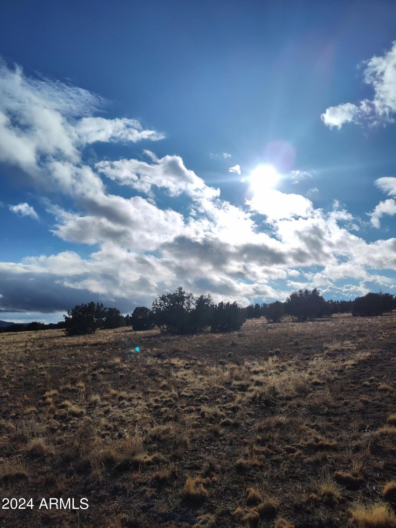 IMG_20240125_154038005_HDR