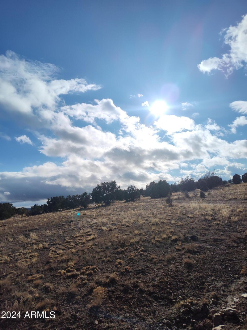 IMG_20240125_154032074