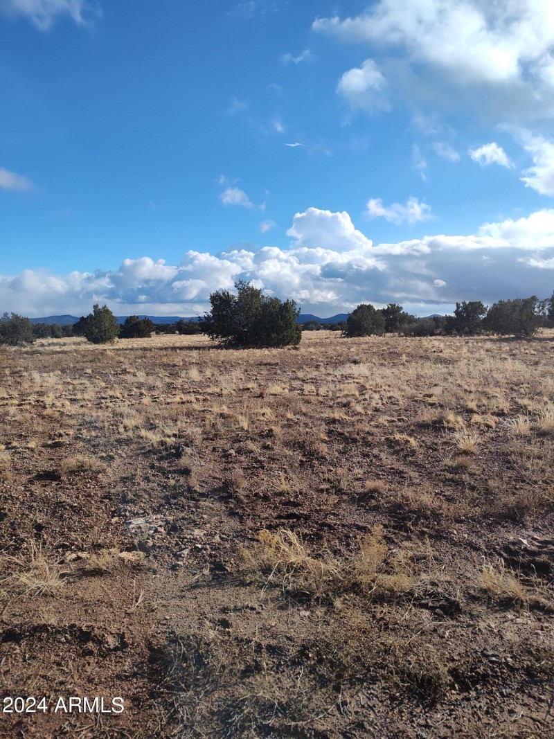 IMG_20240125_154030333