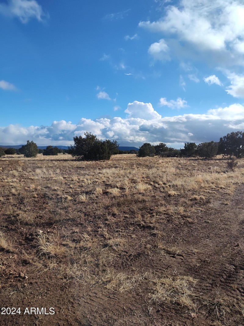 IMG_20240125_154029627