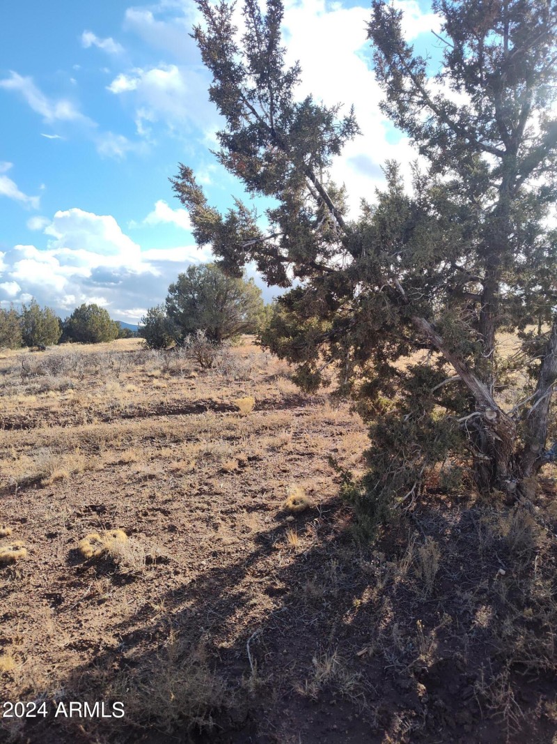 IMG_20240125_154017478_HDR