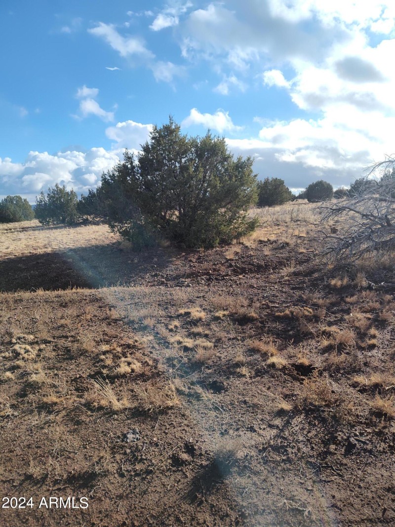 IMG_20240125_154010733_HDR