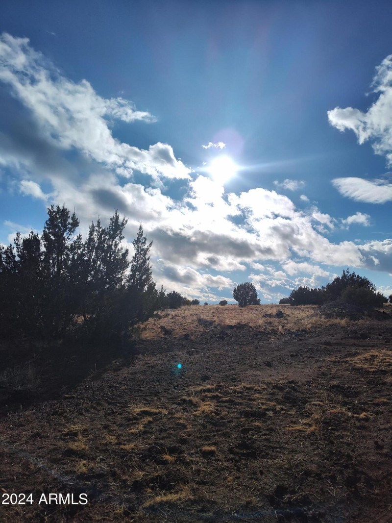 IMG_20240125_154006153_HDR