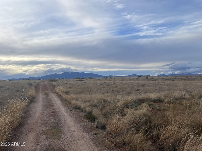 Photo Nov 19 2025, 4 23 33 PM