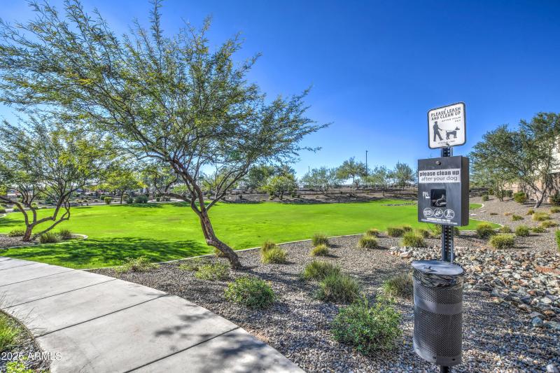 Incredible Fenced Dog Park