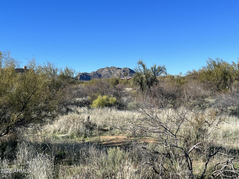 Build Your Dream Home Here