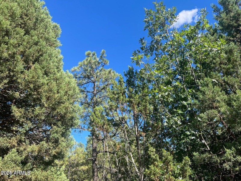 20240815233211037891000000-o