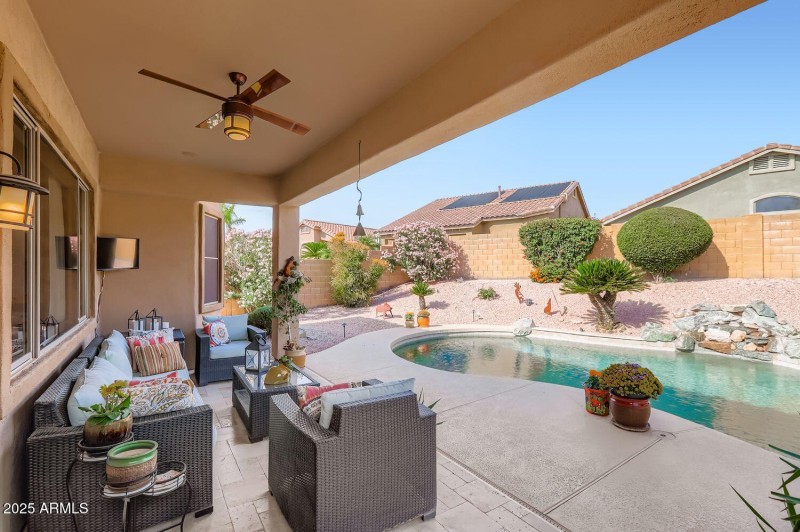 Entertainer's delight