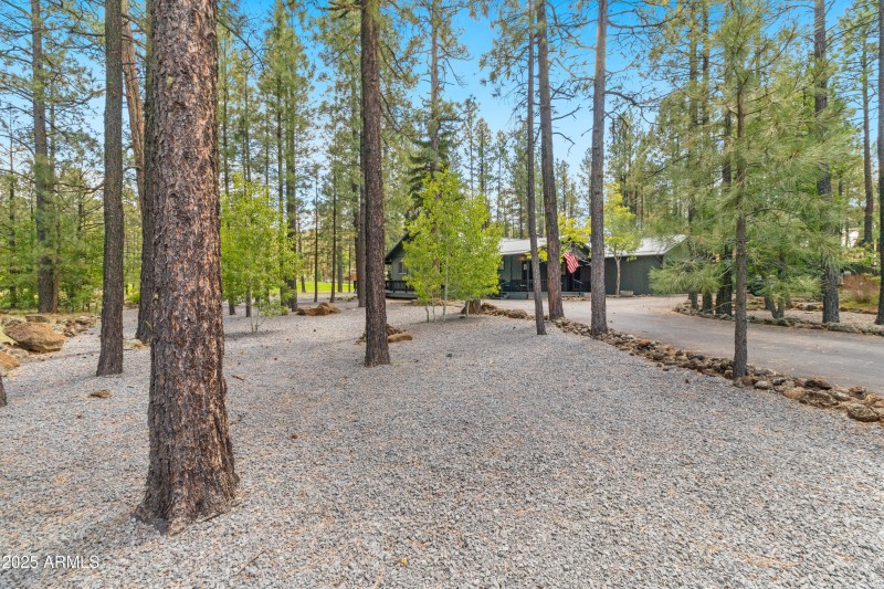 7451 Buck Springs Rd, Pinetop (7)