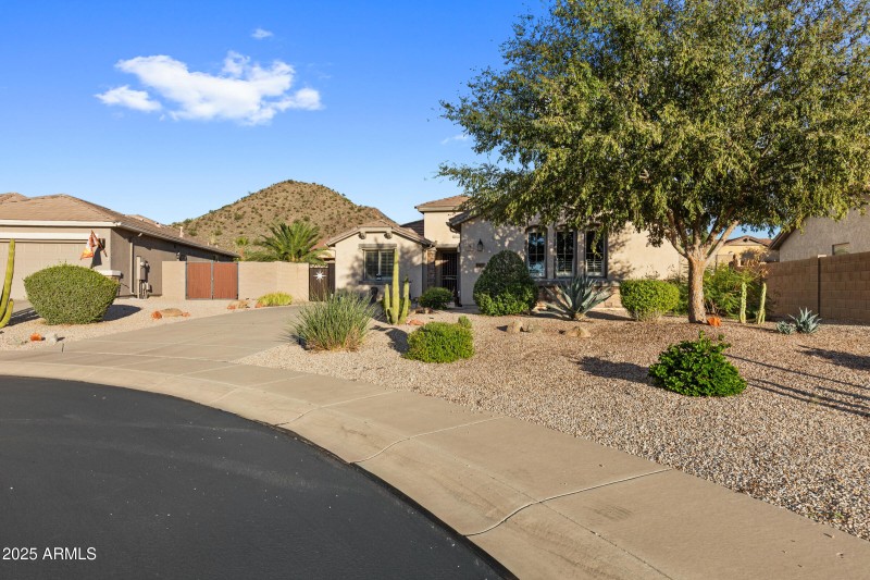 31417 N Desert Star St-2