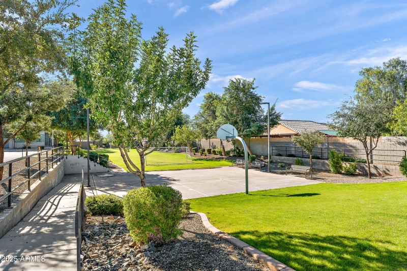 Community Basketball