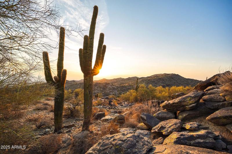 poi-maracay-avance-park-x-south-mount-pa