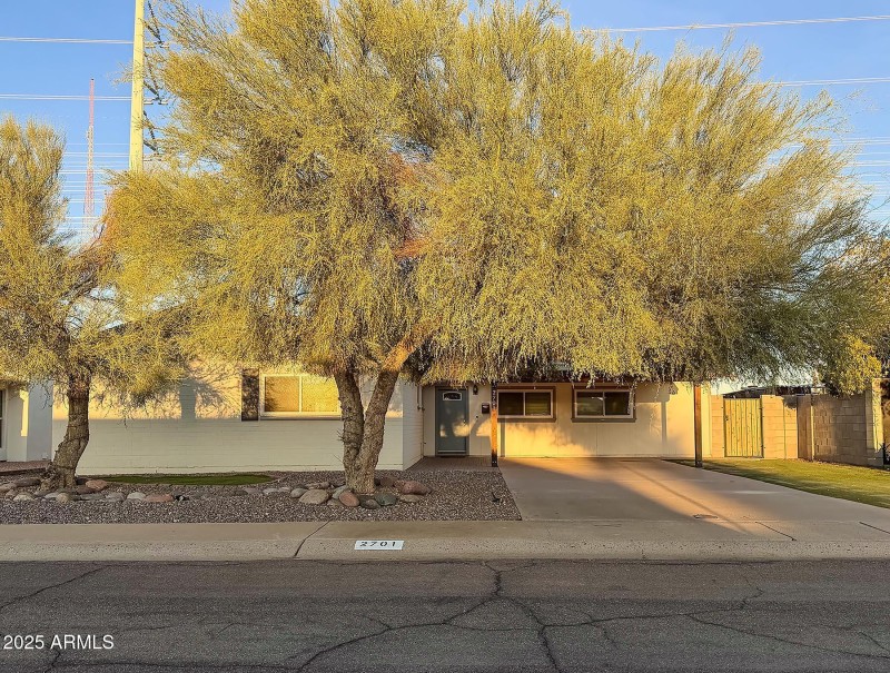 Front Yard w/ Evening Light