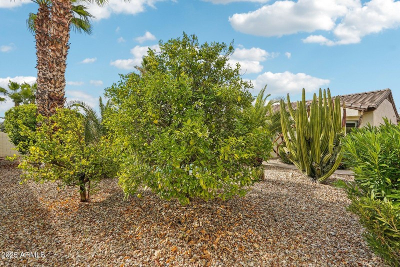 38-web-or-mls-N Wasson Peak Dr-S2411-036