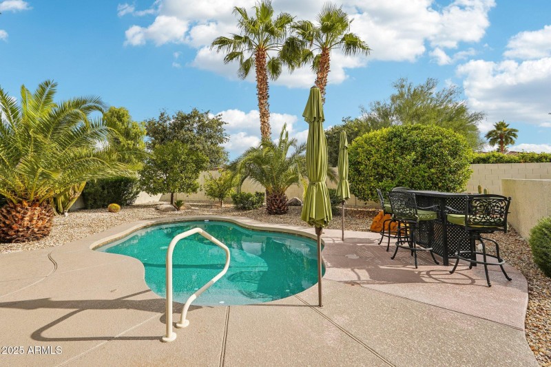 41-web-or-mls-N Wasson Peak Dr-S2411-039