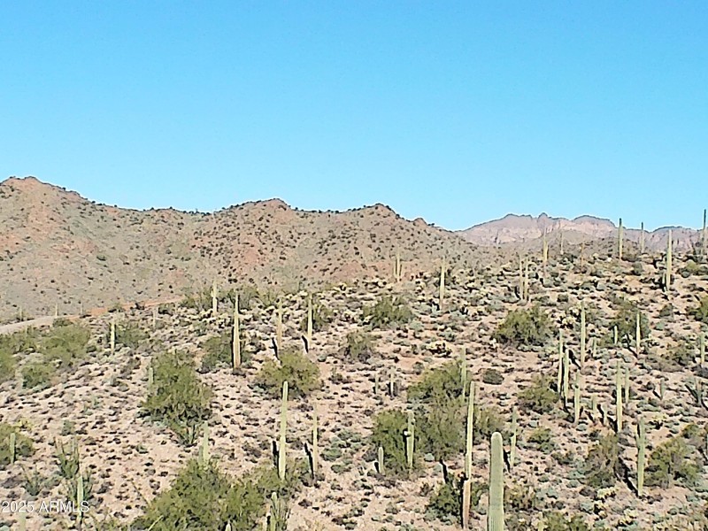 Beautiful surroundings all around!