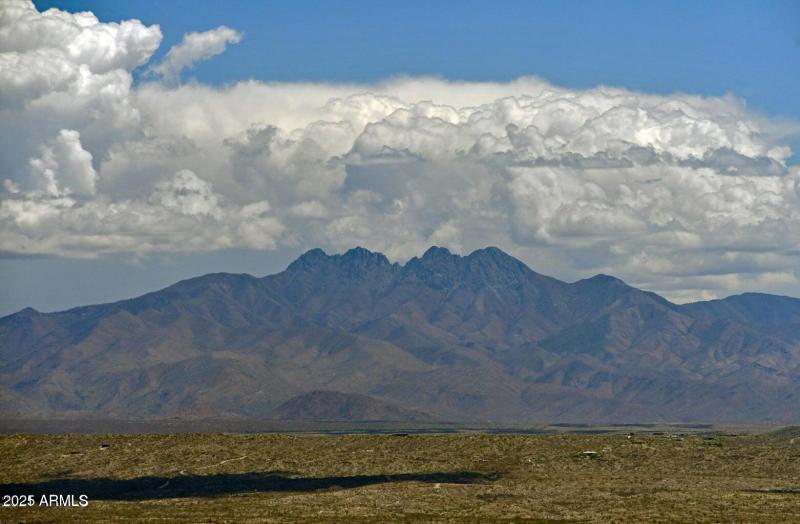 15803 E Palomino Blvd