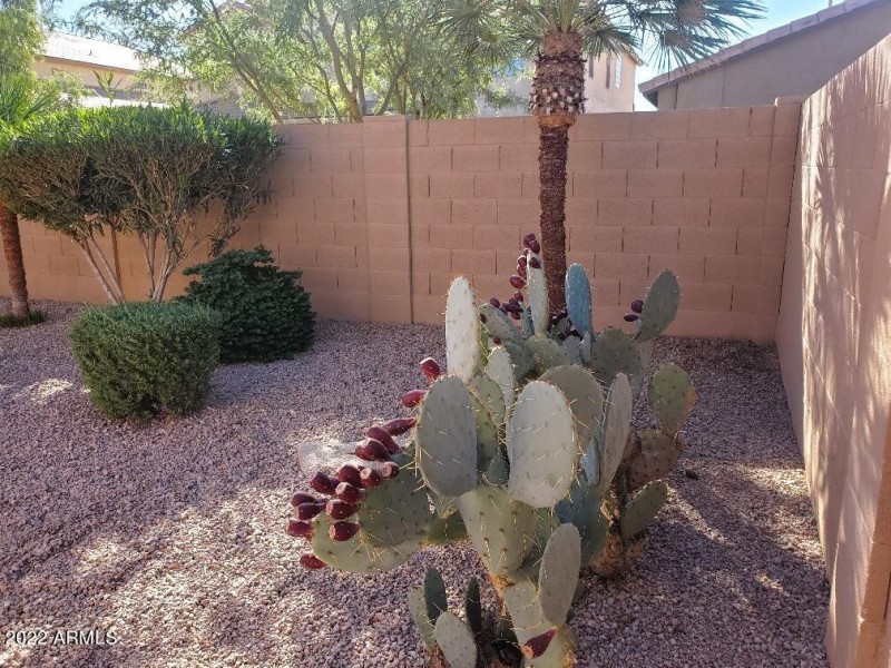 20221108_101336_resized