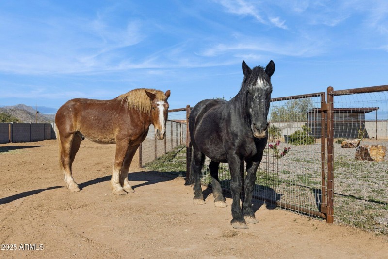 77-web-or-mls-6786-w-palomino-wy