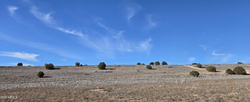 Panoramic view 12