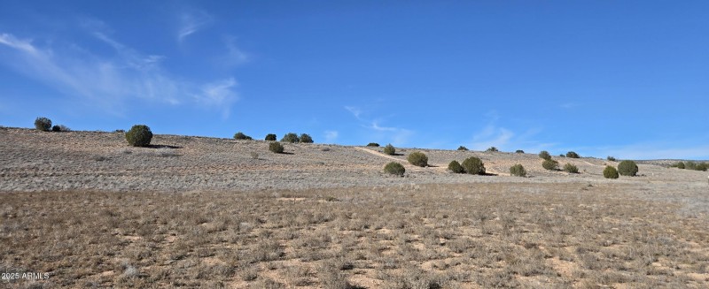 Panoramic view 11
