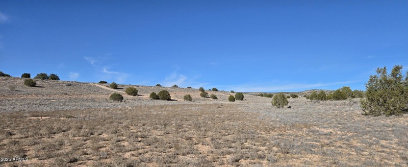 Panoramic view 12