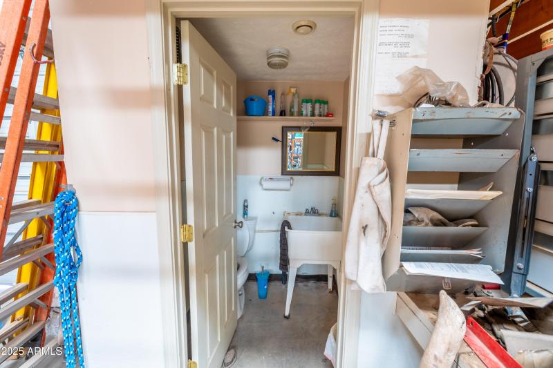 KNK-905 Mnt Lion Pass-55