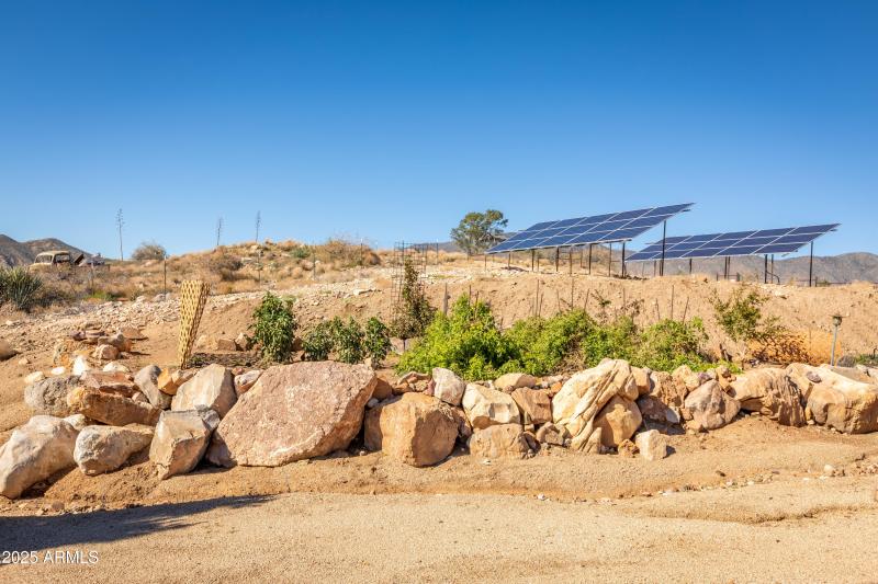 KNK-905 Mnt Lion Pass-65