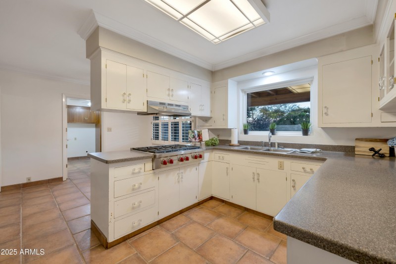 Views of the backyard