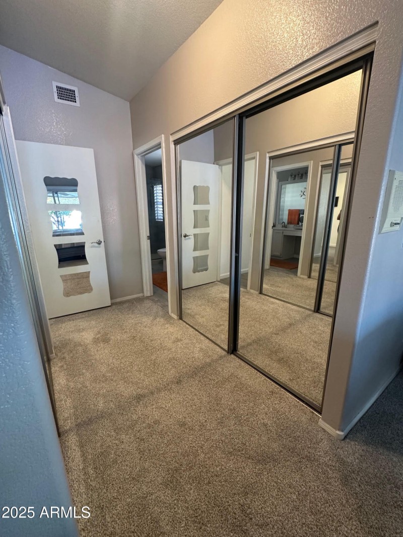 Chicago Primary Closet 1