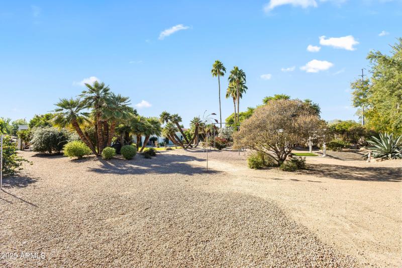 BACKYARD WALKING PATH VIEW II