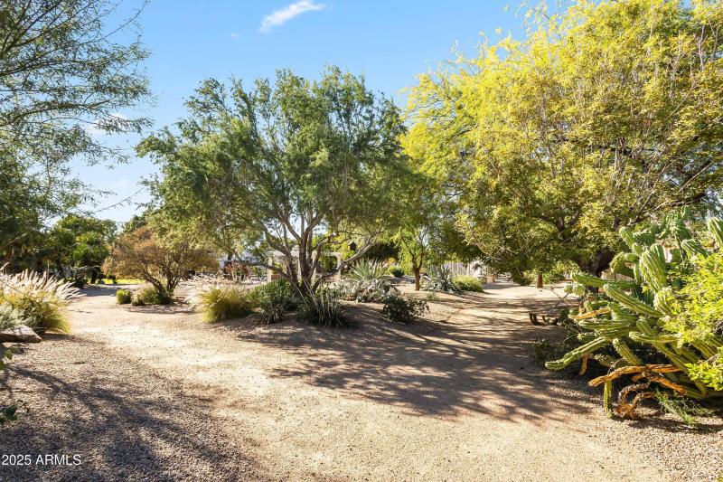 BACKYARD DESERT GARDENS