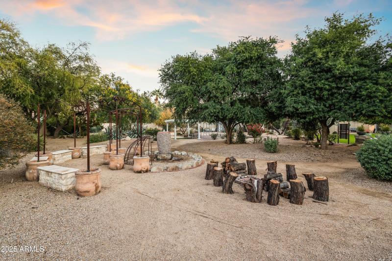 BACKYARD DESERT GARDENS - TWILIGHT