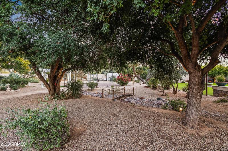 BACKYARD DESERT GARDENS II - TWILIGHT