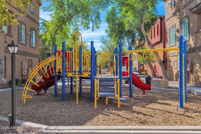 28-web-or-mls-P1046655