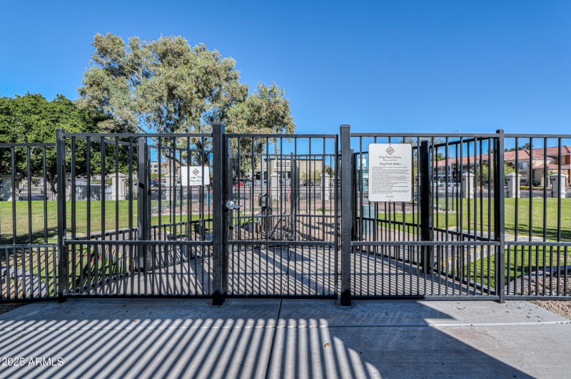 Dobson Ranch Community Photo