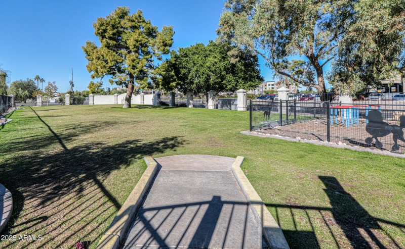 Dobson Ranch Community Photo