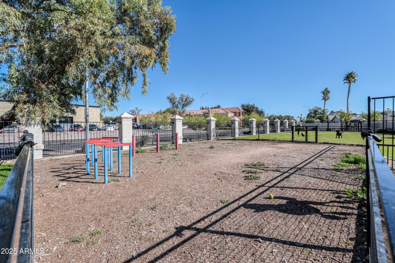 Dobson Ranch Community Photo