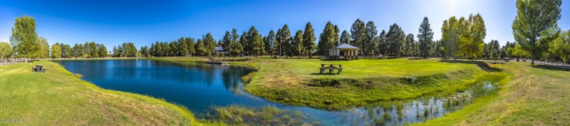 2353 Quarter Horse Trail #238__119