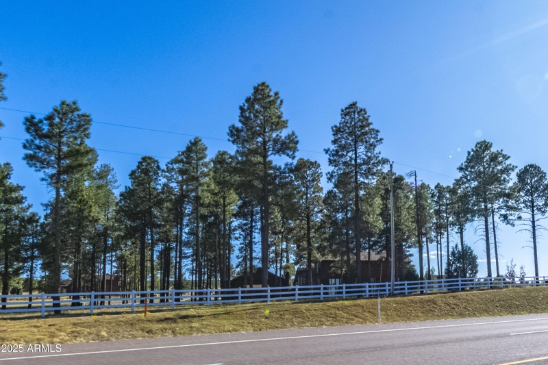 2353 Quarter Horse Trail #238__131