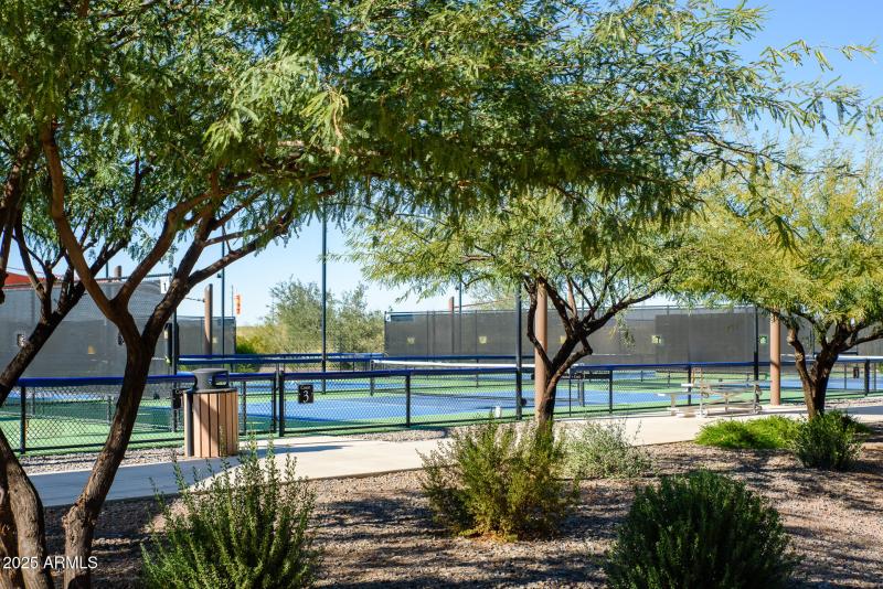Plethora of Pickleball Courts!
