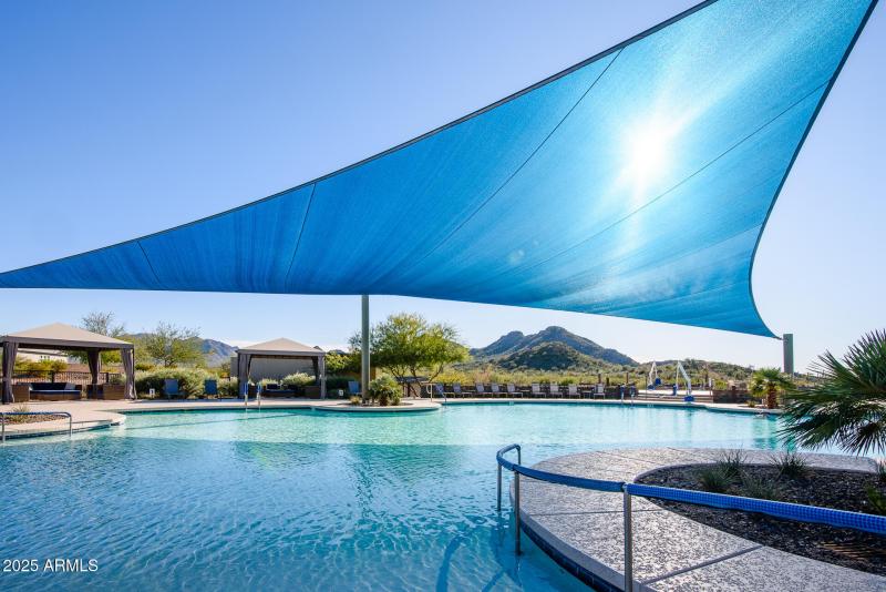 Saguaro Pool and Lounging
