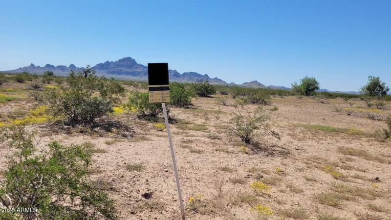 Blacked out photo5 - Copy