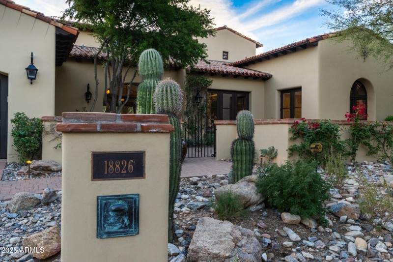 A Thoughtful Arrival.