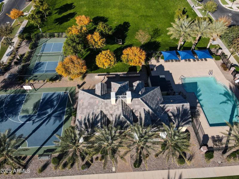 10037 Nopal Drone-19-2