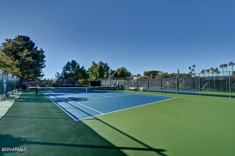 tennis court