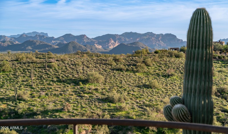 13815 N Vista Del Oro Exteriors-6