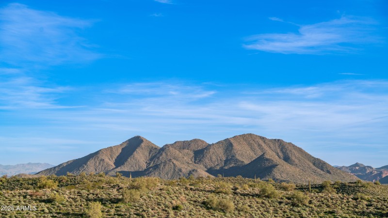 13815 N Vista Del Oro Exteriors-7