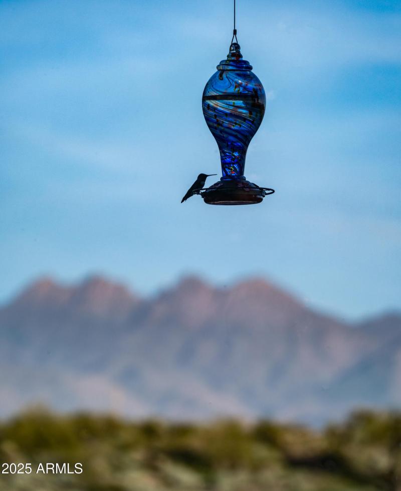 13815 N Vista Del Oro Artsy Photos-7